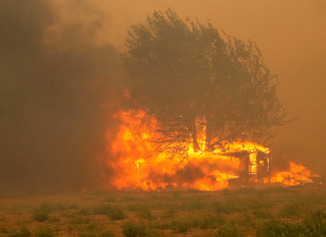 Ülke genelindeki yangınlarda son durumu Bakan Pakdemirli paylaştı