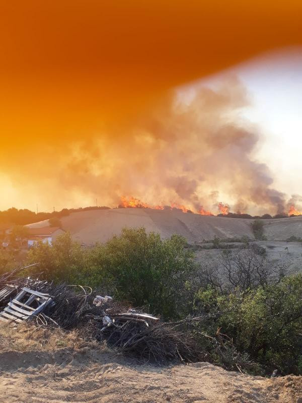 Elazığ, Adana, Bodrum, Manavgat, Marmaris, Milas, Isparta’dan sonra Denizli’de yangın