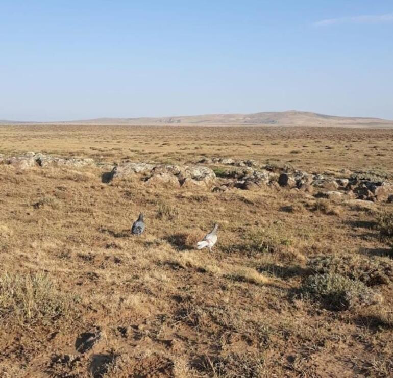 Bunu Yapmayın! Cezası 13 bin lira