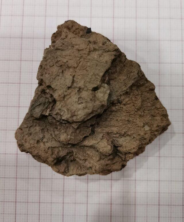 Nuh’un Gemisi’nin indiği yerde arkeologlar tarafından yapılan keşif heyecan yarattı