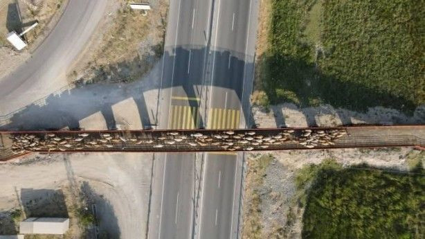 Erzincan’a kuruldu! İşte Türkiye’nin ilk ekolojik üst geçidi
