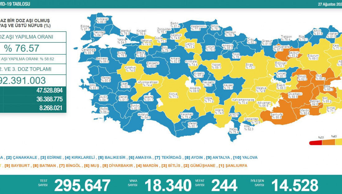 Günlük koronavirüs tablosu açıklandı