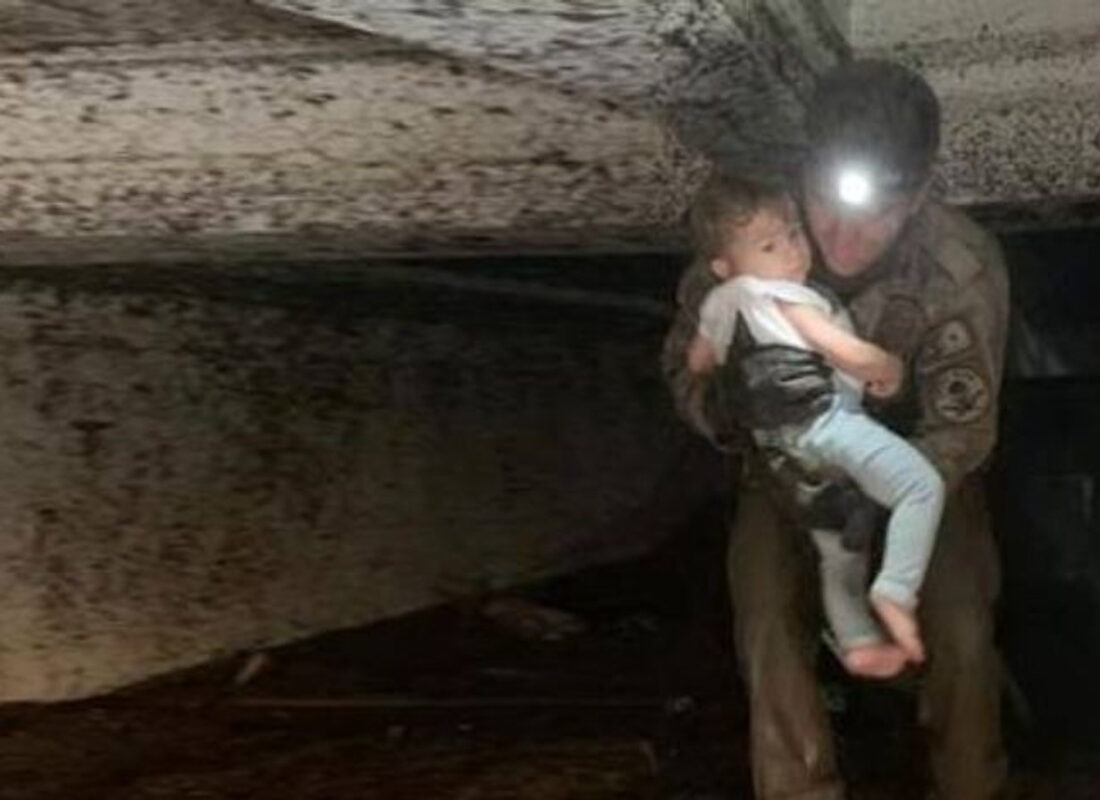 Umudun karesi Bozkurt ilçesinden