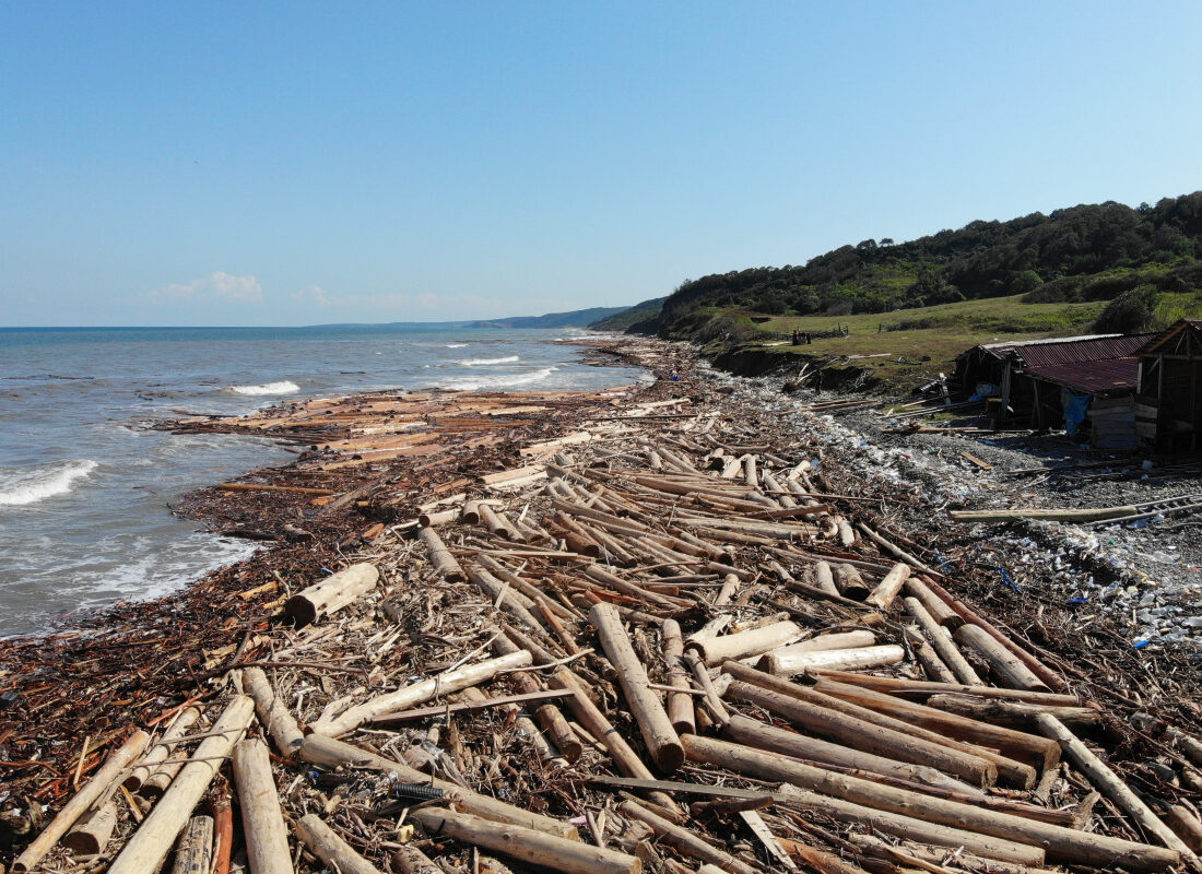 Karadeniz sahili ‘tomruk deniz’ oldu