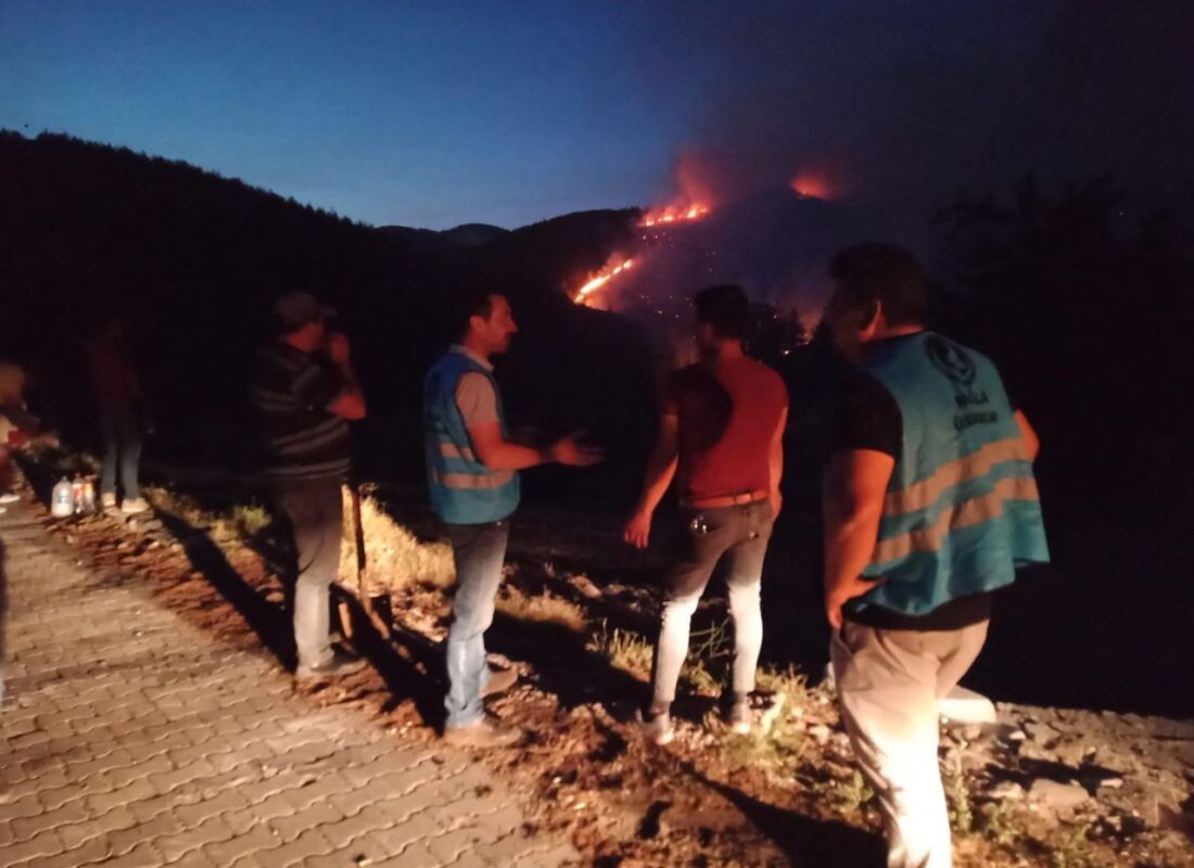 Ülkü Ocakları yangın bölgelerinde çalışmalarına devam ediyor