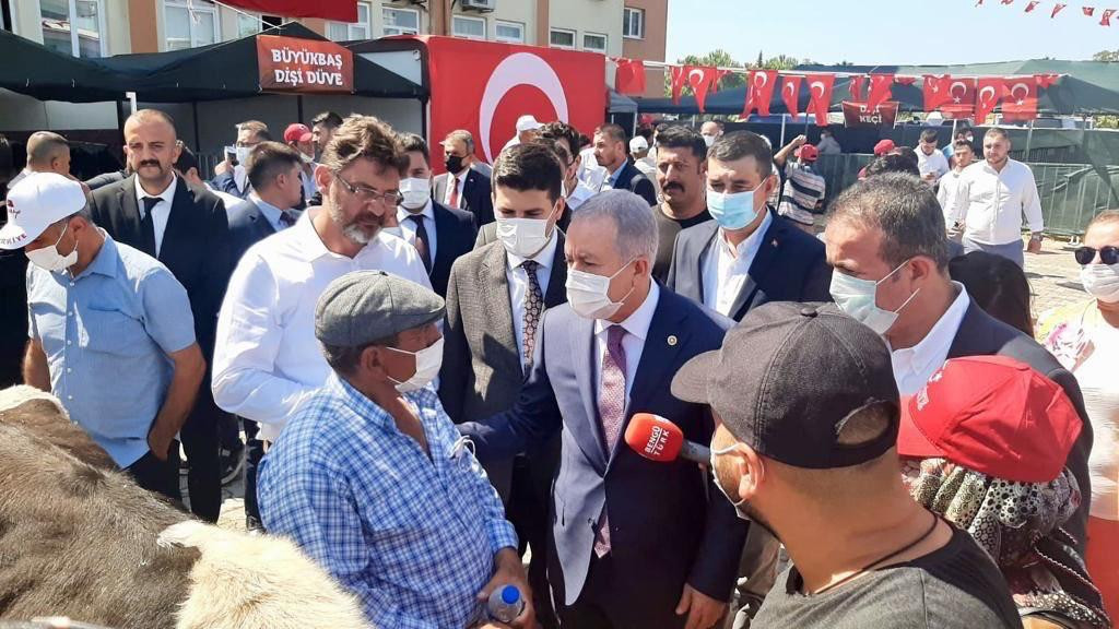 MHP, Manavgat’ta 363 küçükbaş ve büyükbaş hayvan dağıttı  