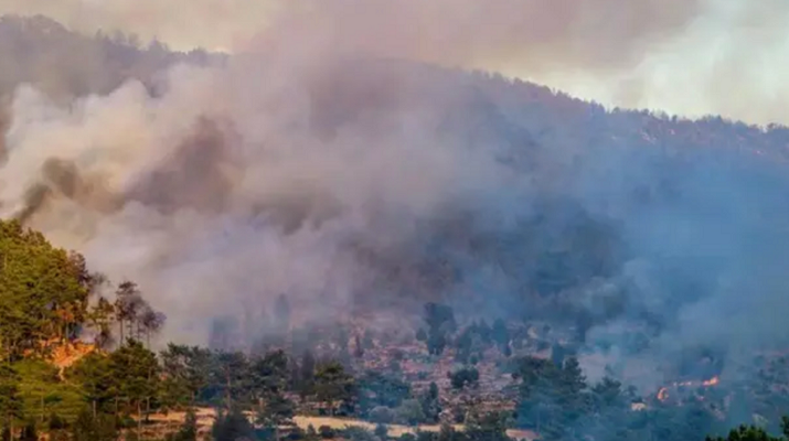 Aydın’da iki farklı noktada yangın