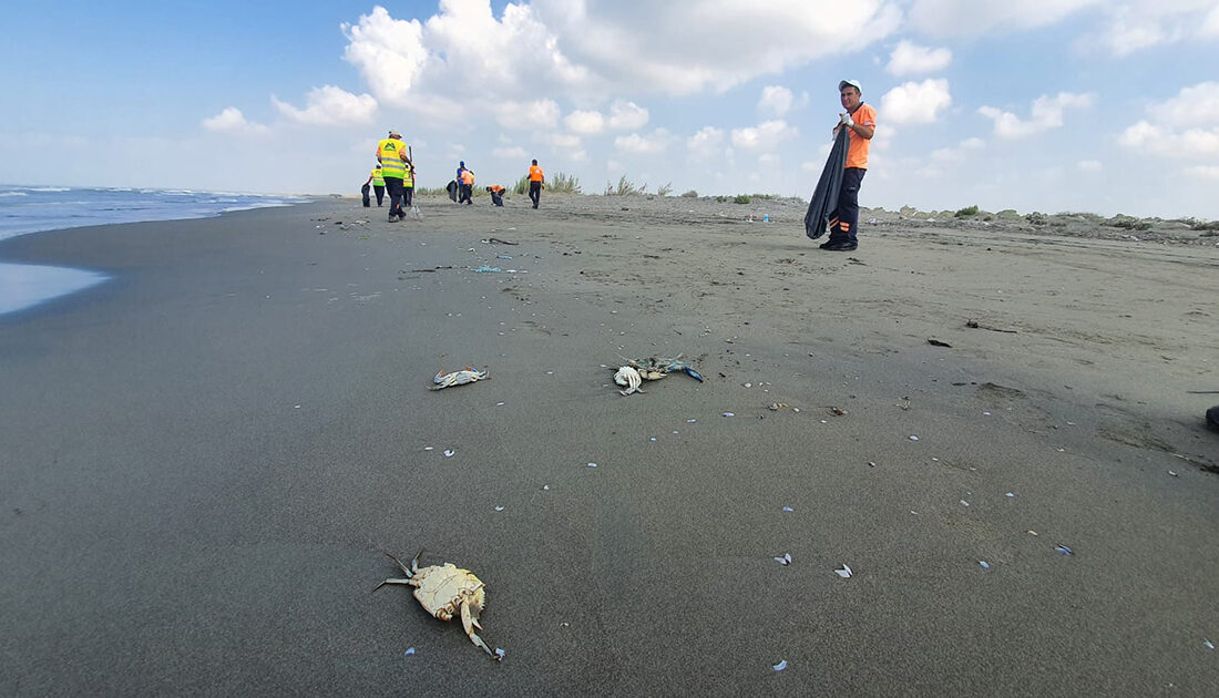 Mersin’de Suriye kaynaklı petrol sızıntısına ilişkin temizlik çalışması başlatıldı