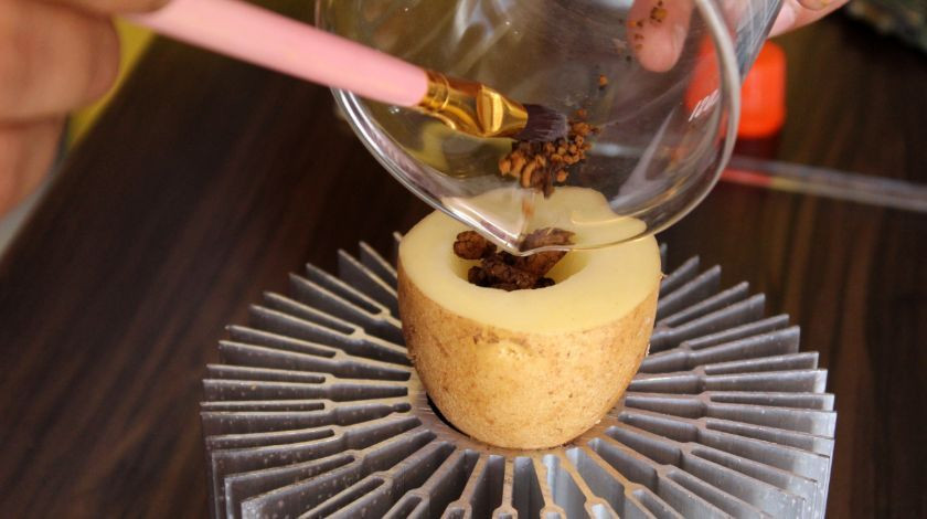 Patatesle her gün 1 gram altın elde ediyorlar