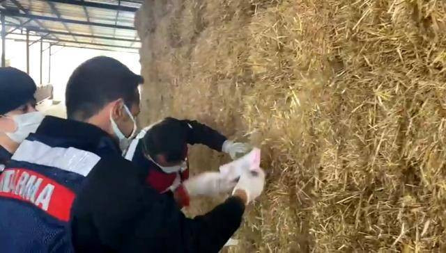 Samanlıkmatik bulundu