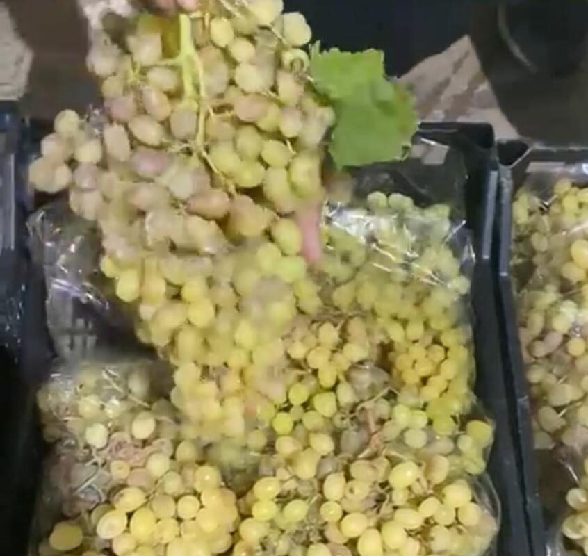 Rusya’dan Türkiye tarımına amborgo!