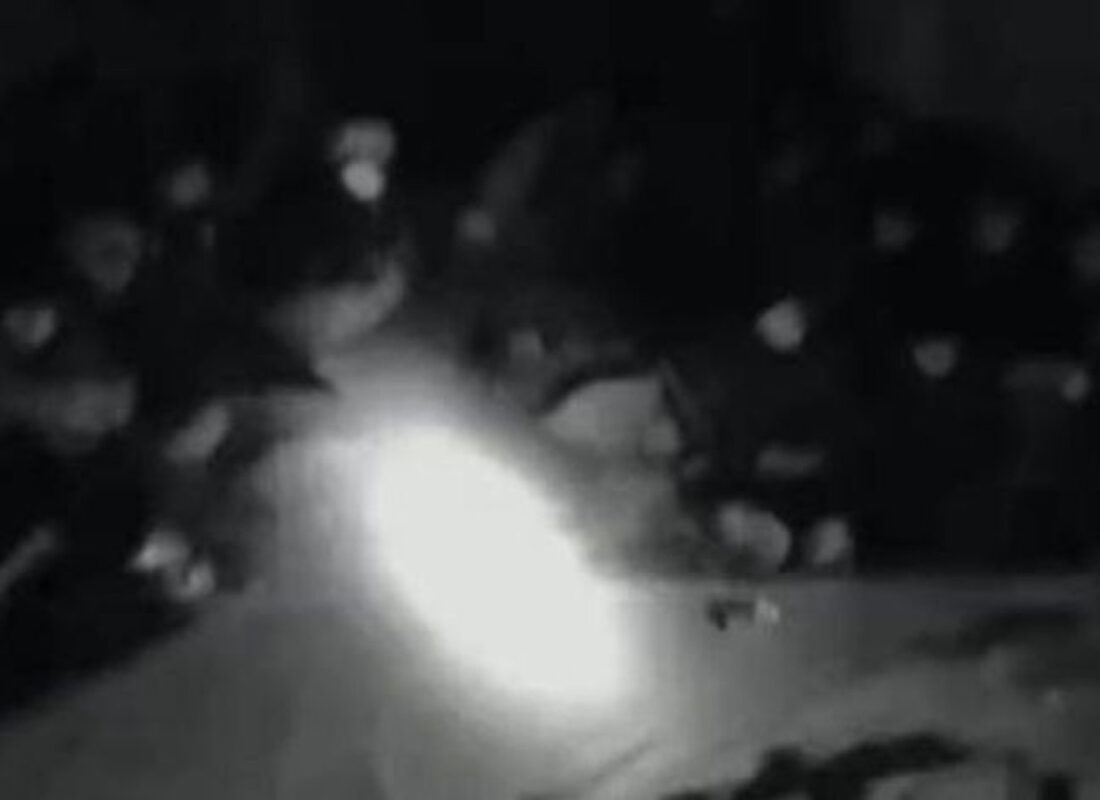 Valilik açıkladı: Onlarcası yakalandı