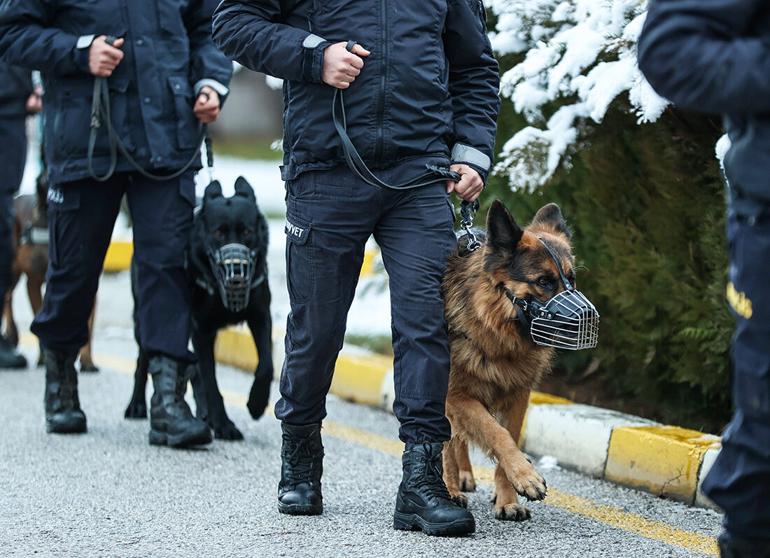 FETÖ’ye İstanbul merkezli 10 ilde dev operasyon! Gözaltılar var