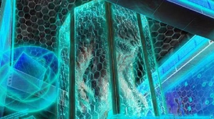 Herkesten gizli yürütülen deneyin bilgileri sızdı! Kurbağa hücreleri kullanmışlar