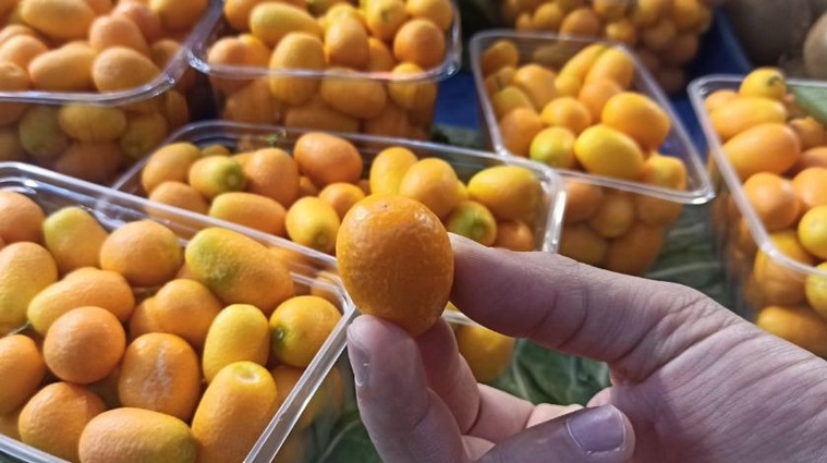 Şeker hastalarının favorisi ‘küçük mücevher’