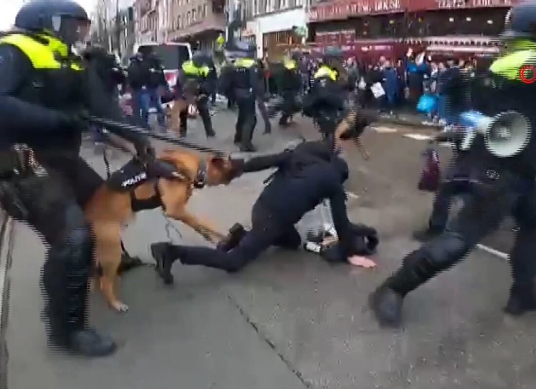 Hollanda polisinden protestoculara “köpekli DEHŞET” müdahale