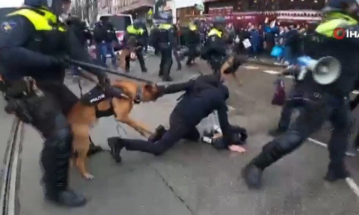 Hollanda polisinden protestoculara “köpekli DEHŞET” müdahale