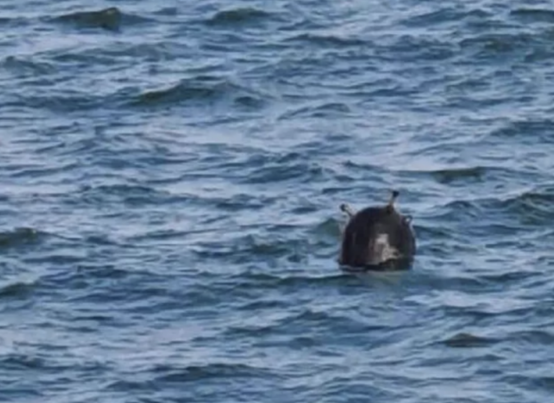 Birileri Türkiye’yi bu savaşa çekmek istiyor Mayınları getirmiş olabilirler