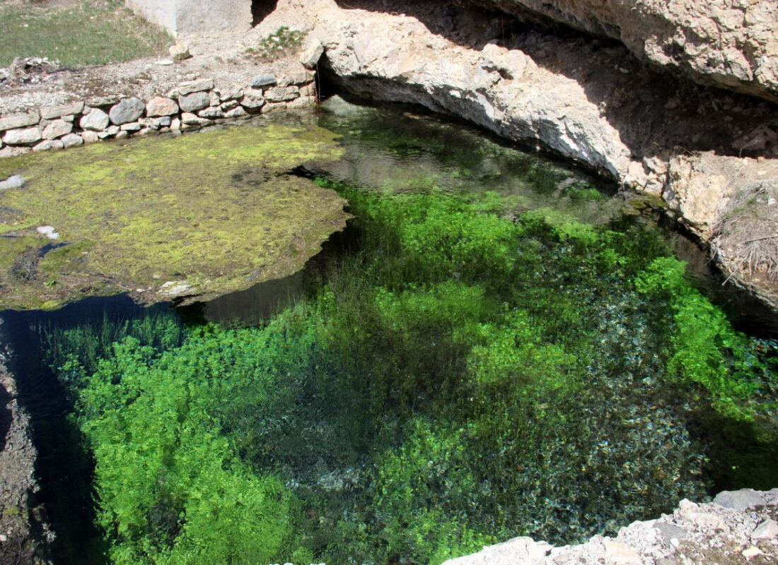 Bu köyün her yanından su fışkırıyor! ‘Şifalı olduğunu söyleyenler de var’