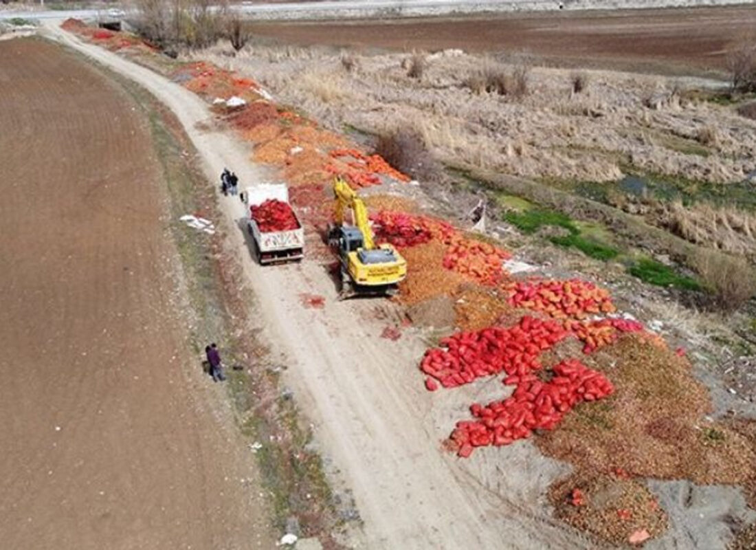 Çorum’da tonlarcası yol kenarına dökülmüştü! O soğanlarla ilgili yeni gelişme