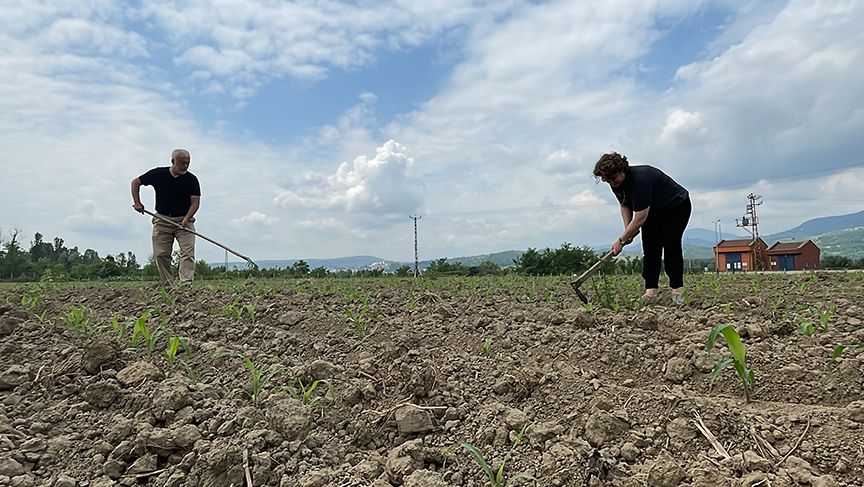 Tarıma kazandırdığı atıl arazide organik ürünler yetiştiriyor