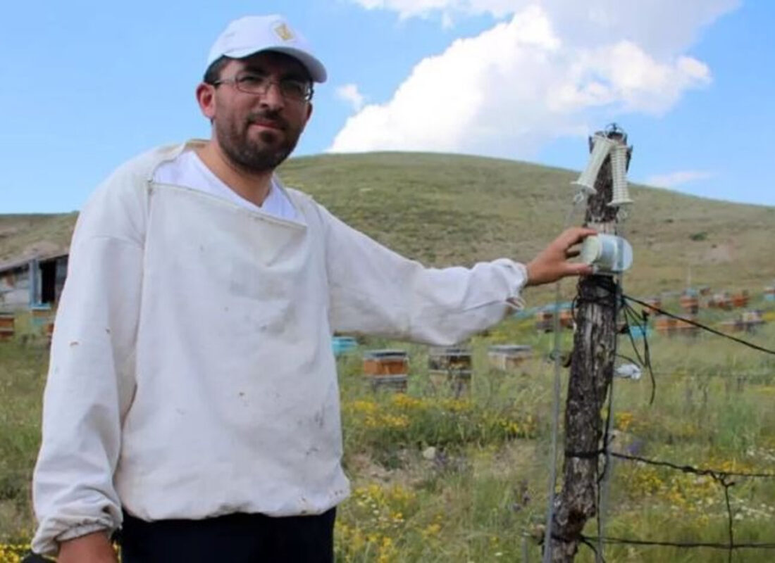 Ayıları ters köşeye yatıran zeka…