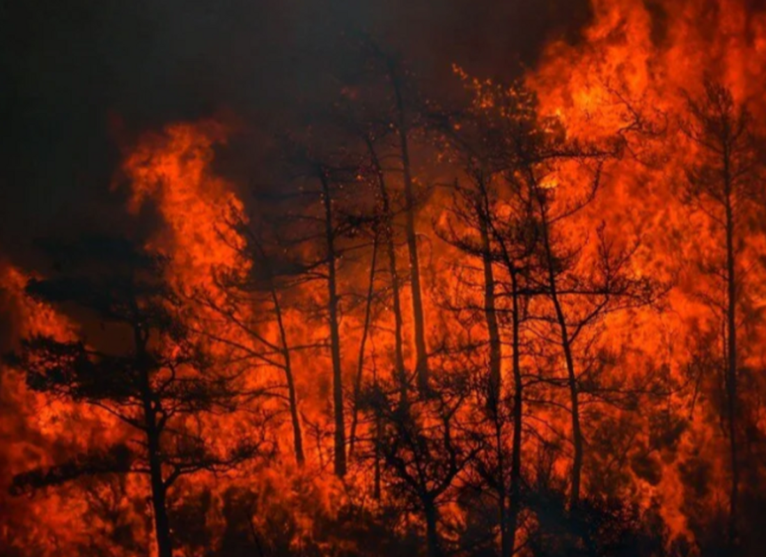 Marmaris’te orman yangını: Rüzgarın etkisiyle yeniden şiddetlendi