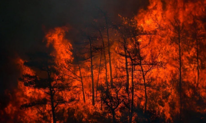Marmaris’te orman yangını: Rüzgarın etkisiyle yeniden şiddetlendi