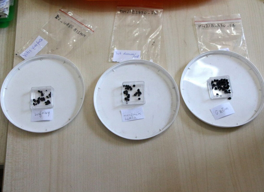 Tarihi değiştirebilir! Adana’da bulundu, tam 3 bin yıllık