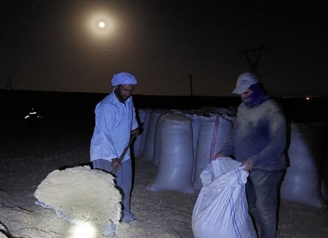 Ay ışığında çalışıyorlar! Bir gecede kazandıkları para günlük 500 tl