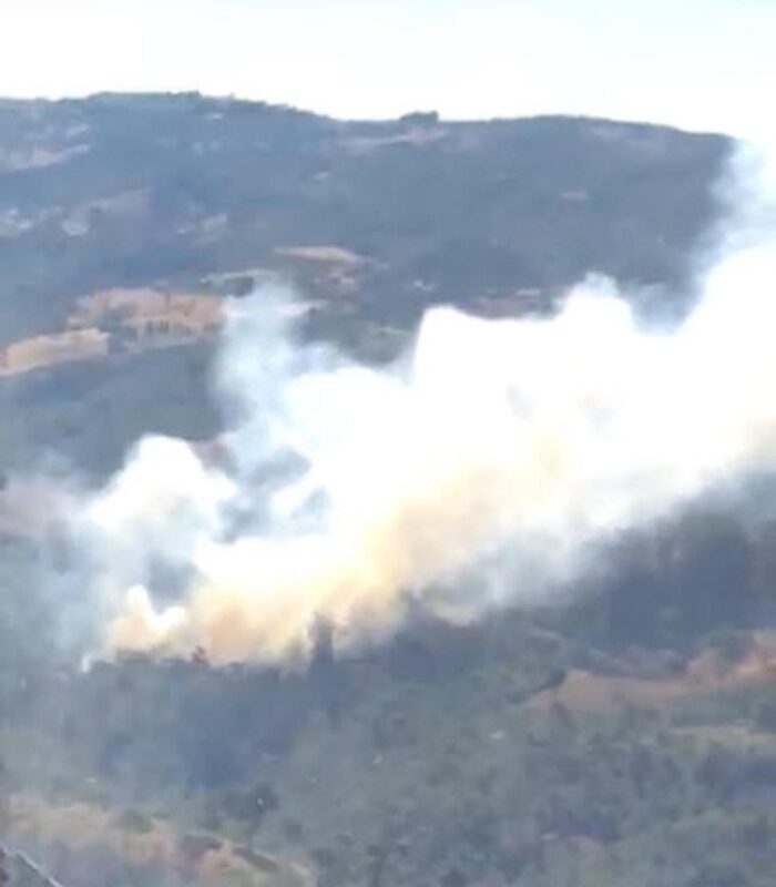 Akhisar’da orman yangını: Havadan ve karadan müdahale ediliyor