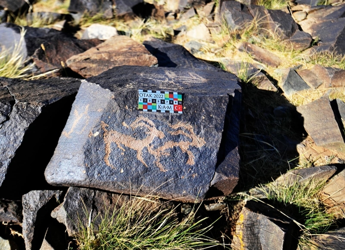 Türk dünyasını heyecanlandıran keşif! Gobi Çölü’nde bulundu