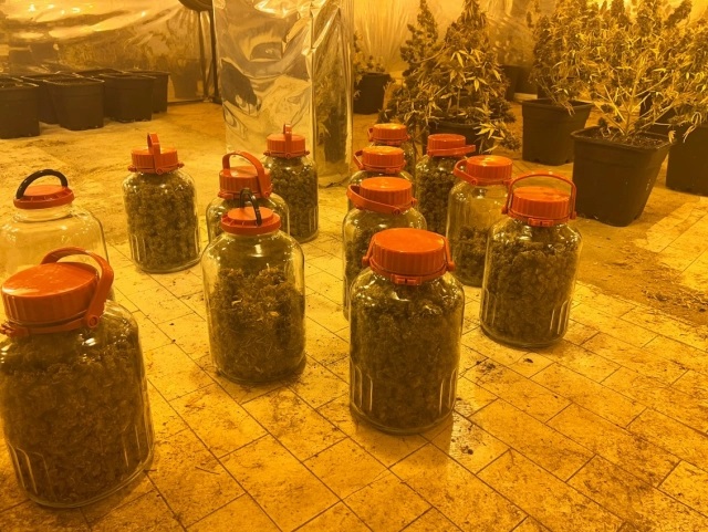 Kartal’da 5 katlı iş merkezinin terasını uyuşturucu tarlasına çevirmişler