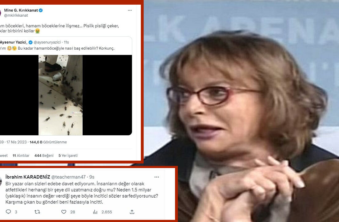 Mine Kırıkkanat haddini aştı…  “Kâbe’yi ziyaret eden Müslümanlara hakaret”