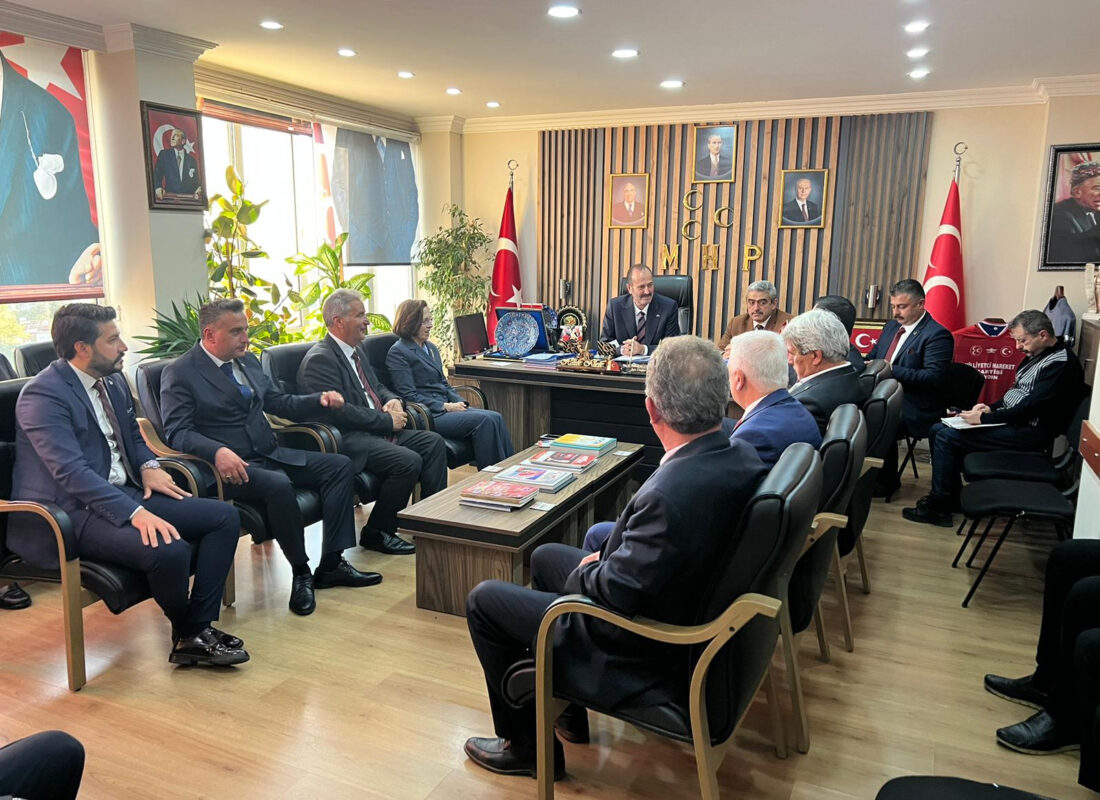 MHP’li Osmanağaoğlu: “Yükselen ülke Türkiye için, lider ülke Türkiye için kapı kapı dolaşacağız”