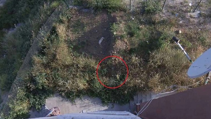 ‘Örümcek Adam’a özenen çocuk 5. kattan atladı!