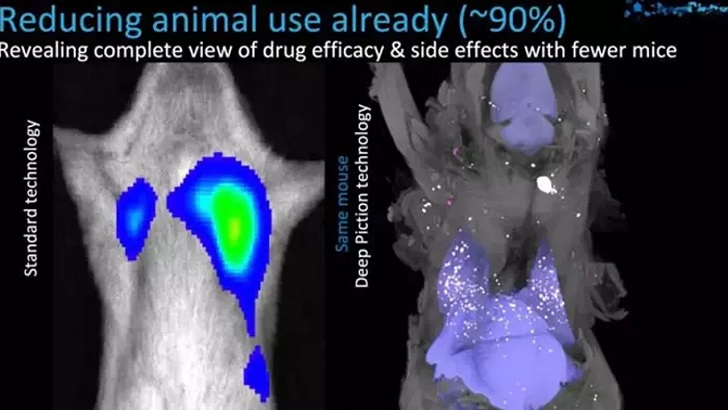 Dünya tıp tarihine geçecek çalışmalarda Türk imzası… Organ nakli tarih olacak
