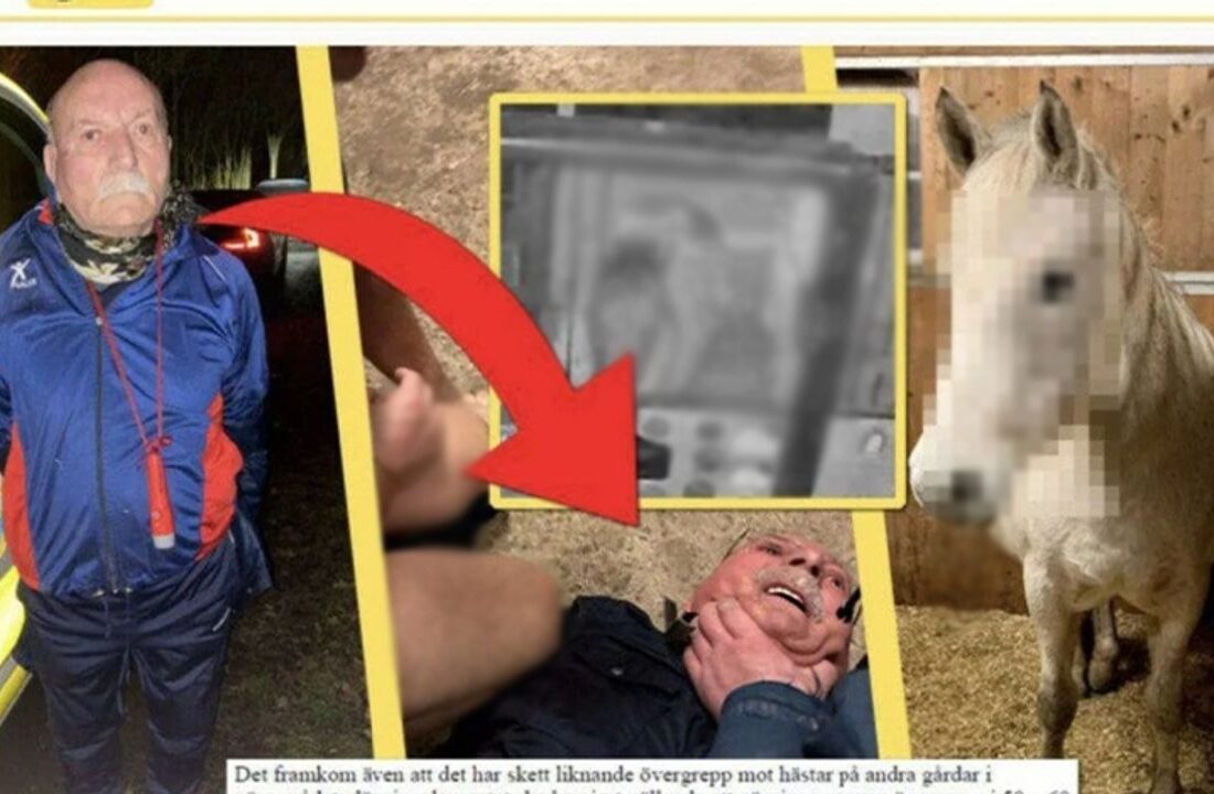 İsveç’te ata tecavüz eden PKK’nın sözde sorumlusu belediye başkan yardımcısı çıktı