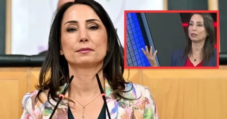 DEM’li Hatimoğulları’ndan skandal sözler: O illerinden ‘Kürdistan’ diye bahsetti!