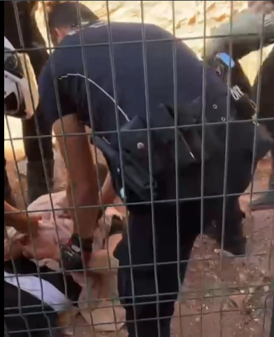 Bakan Yerlikaya açıkladı: Gaziantep’te uzun namlulu silahlarla poz veren şüpheliler yakalandı