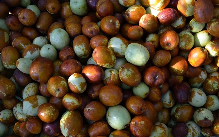 Kur’an’da adı geçen, ölümsüzlük meyvesi olarak tanınan hünnapın faydaları bitmek bilmiyor!