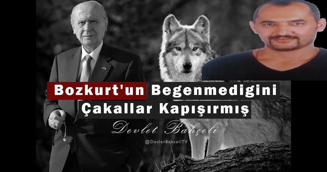 Yükü Vatan olan Yalnız Kurt Tek Lider Başkurt Devlet Bahçeli
