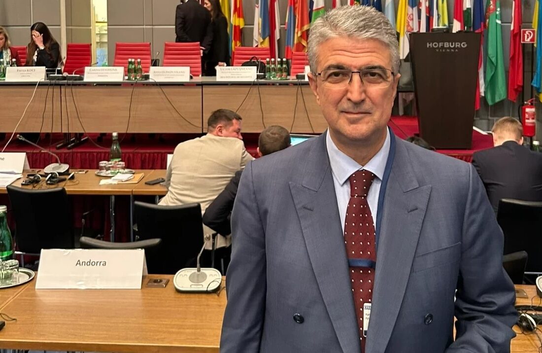 MHP’li Kamil Aydın, önce NATO-PA sonra AGİT-PA toplantılarında konuştu