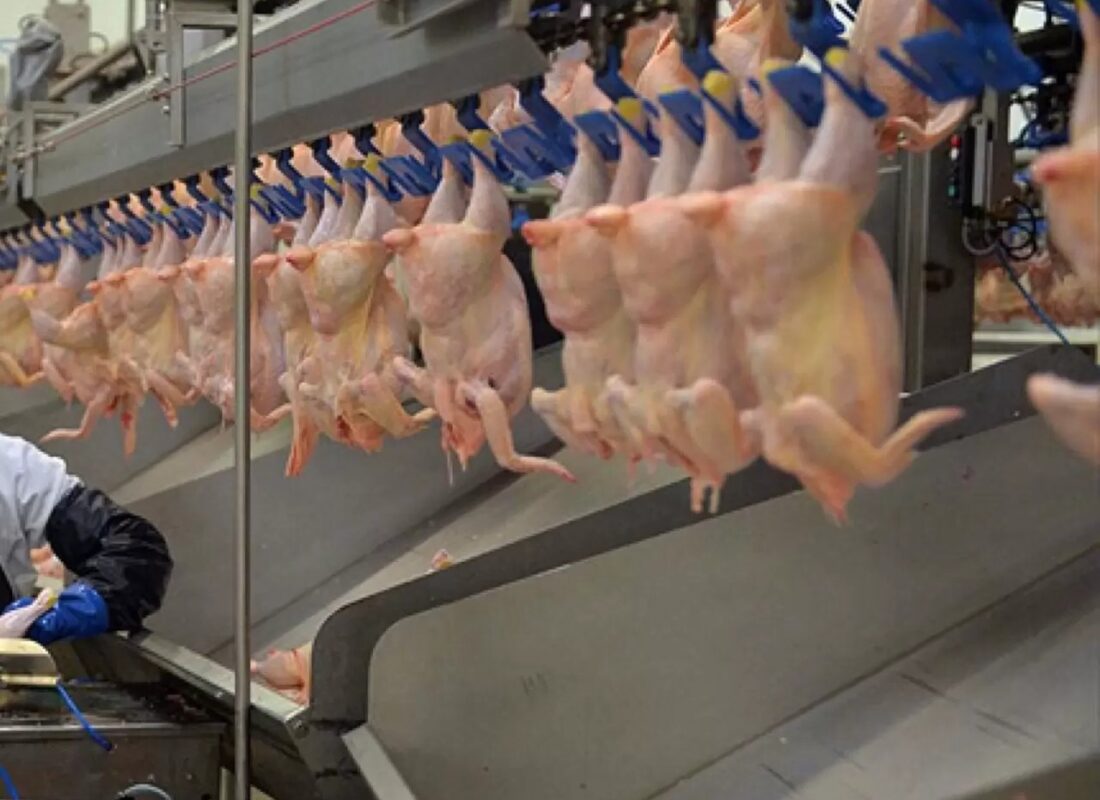 Beyaz et sektörüne dev ceza