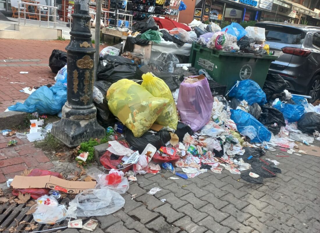Maltepe’de Çöpler Sağlığı tehdit ediyor