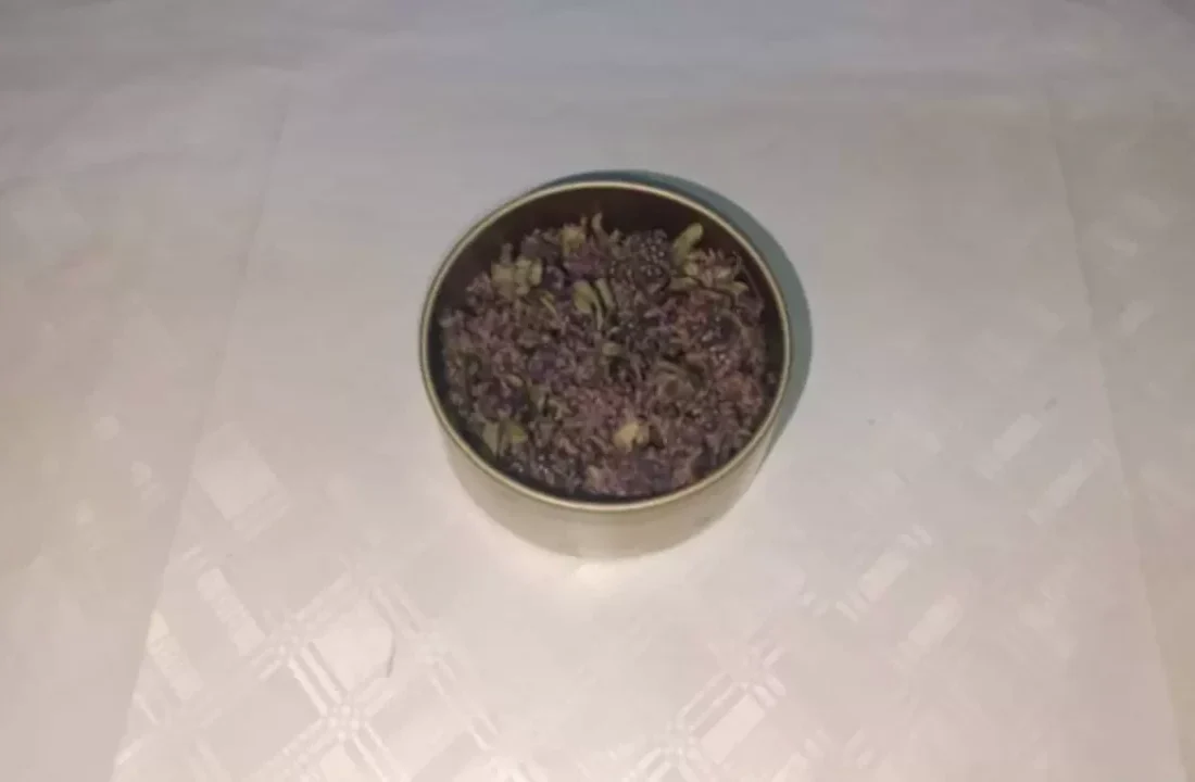 Yurt dışına kaçırmak istediği çiçek hayatını karattı: 557 bin lira ceza kesildi