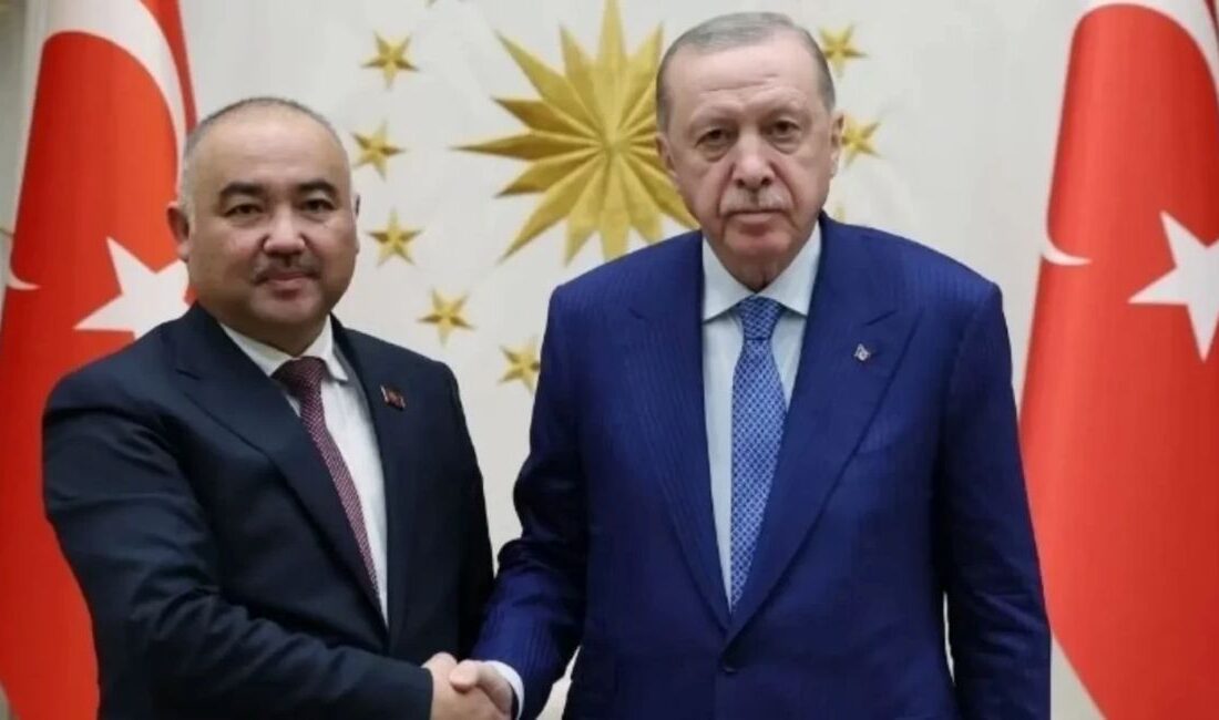 Türkiye-Kırgızistan İlişkileri Üzerine Görüşme