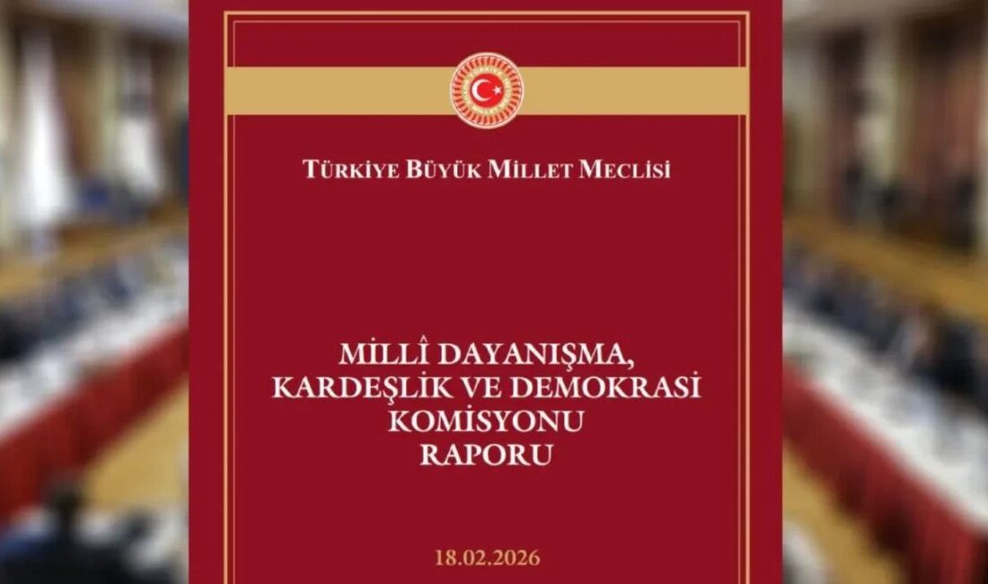 TBMM’de “Millî Dayanışma, Kardeşlik ve Demokrasi Komisyonu” Raporu Yayımlandı