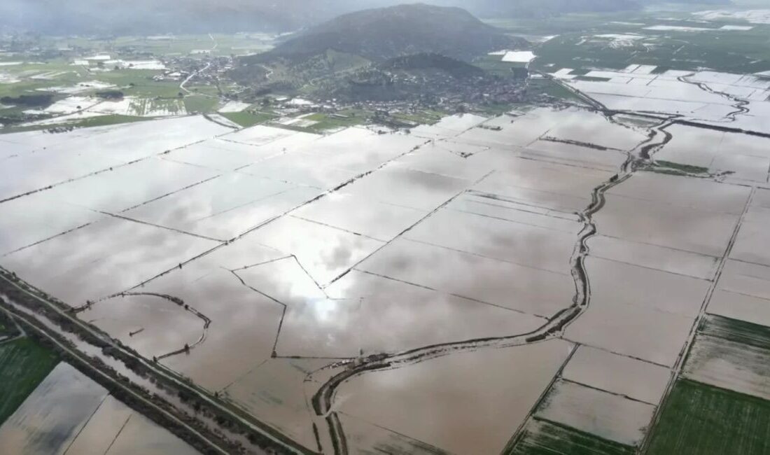 Aydın’da Büyük Menderes Nehri Taşkını