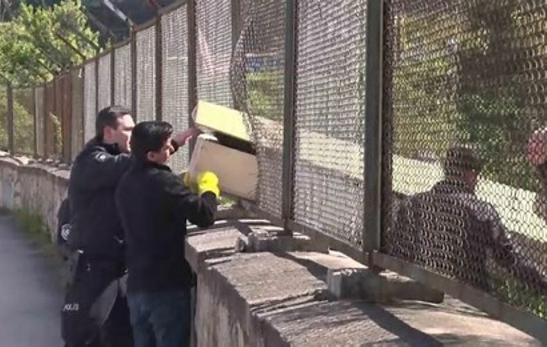 Maltepe Fındıklı’da Korkunç Olay: Ormanda Bulunan Erkek Cesedi